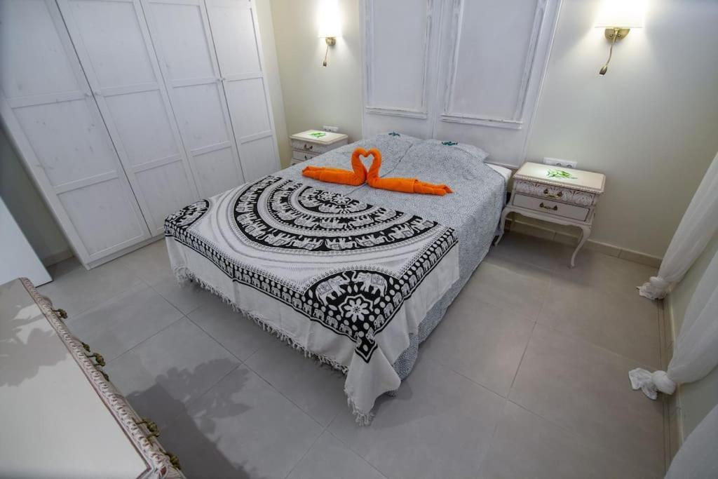 Chaparal Design Apartment 德尔锡伦西奥海岸 外观 照片
